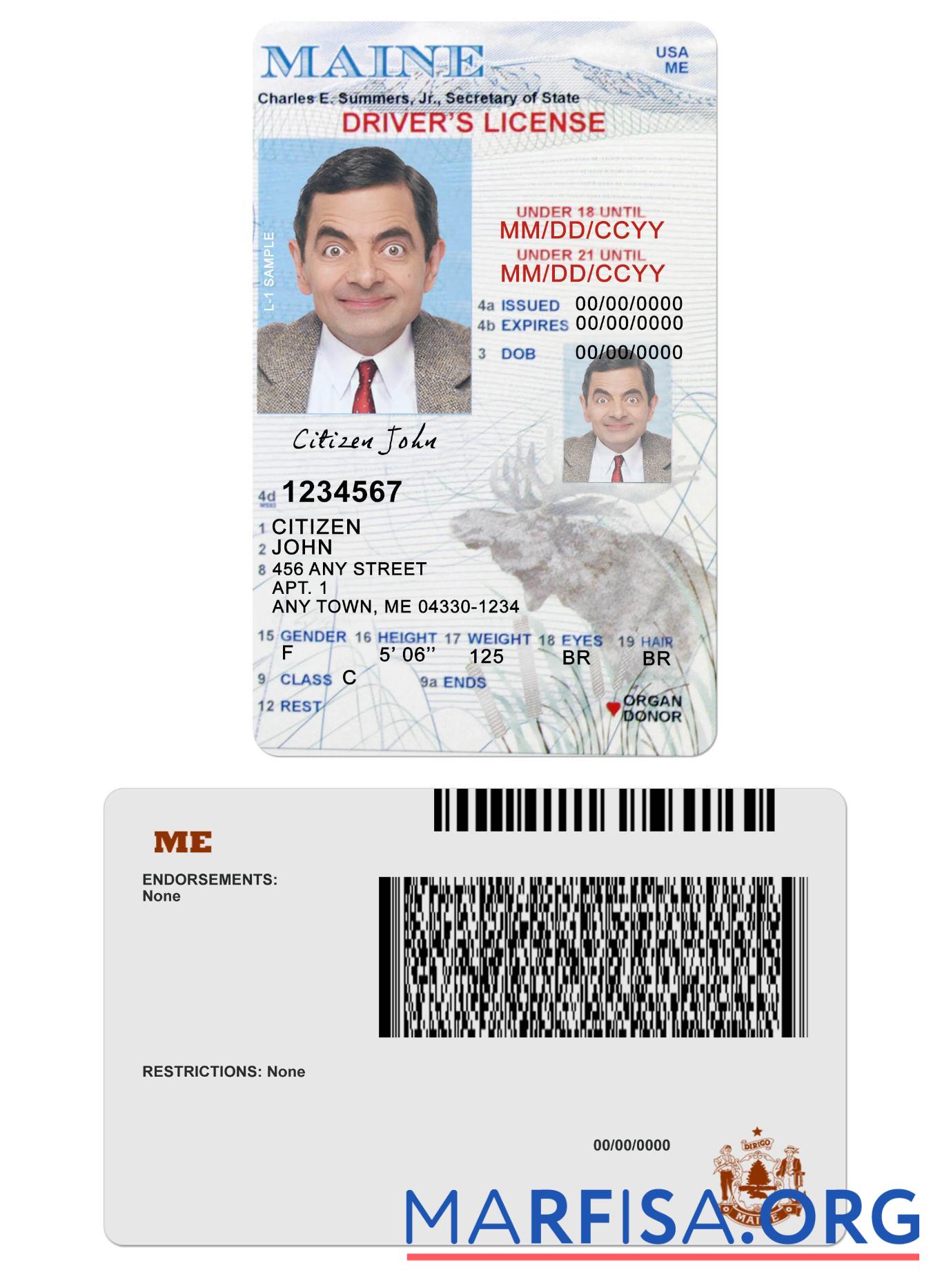 Blank USA Maine driving license under 21 real example